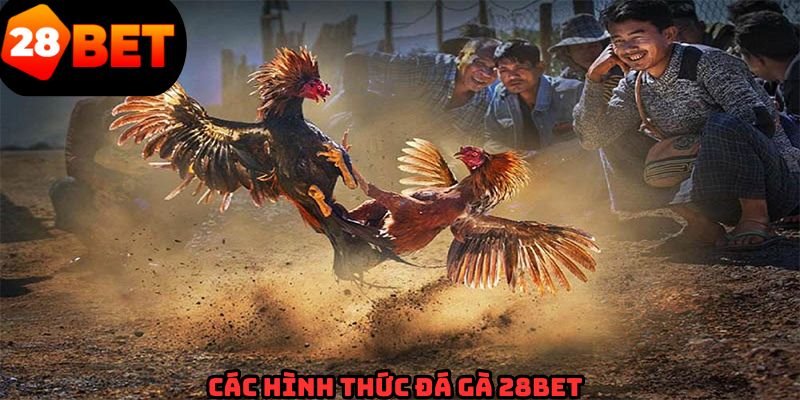 Một số hình thức thi đấu quyết liệt nhất