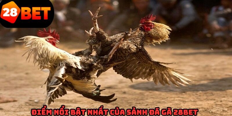 Lý do khiến sân chơi đá gà 28BET luôn được đánh giá cao